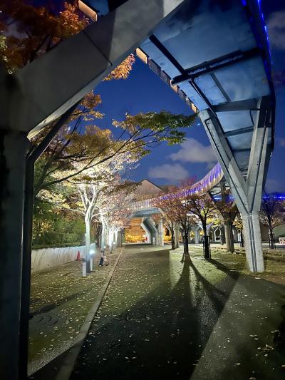 キョウヤ (23) 新潟 萬天堂 / 出張性感マッサージ