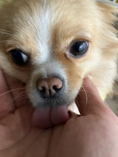 とも (32) 京都 萬天堂 / 出張性感マッサージ