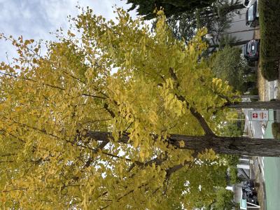 愛斗 (30) 松山 萬天堂 / 出張性感マッサージ