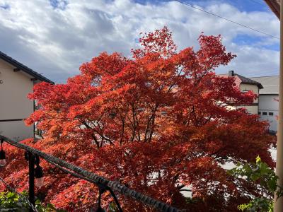 翔一郎 (42) 信州 萬天堂 / 出張性感マッサージ