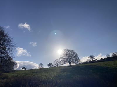 葉流 (36) 仙台 萬天堂 / 出張性感マッサージ