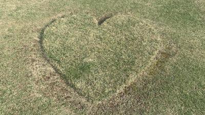 流愛 (44) 新潟 萬天堂 / 出張性感マッサージ