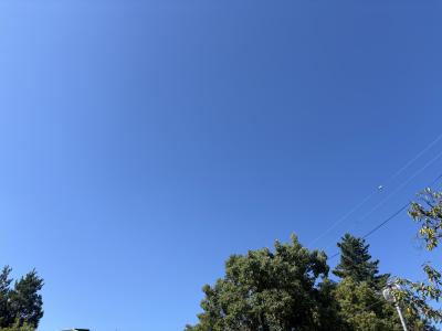 レイン (29) 大阪 萬天堂 / 出張性感マッサージ