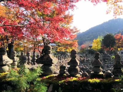 静 (60) 名古屋 萬天堂 / 出張性感マッサージ