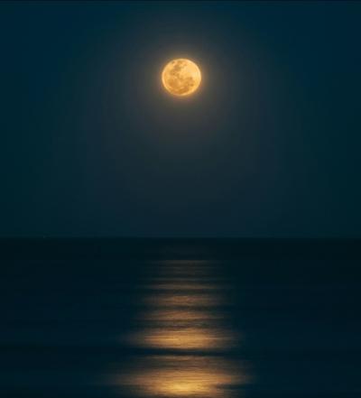 なおと (57) 東京 萬天堂 / 出張性感マッサージ