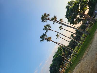 気持ちいい空 To-ji (32) 沖縄県（出張性感マッサージ