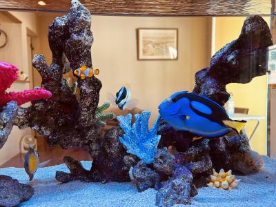 慶次 (46) 四日市 萬天堂 / 出張性感マッサージ