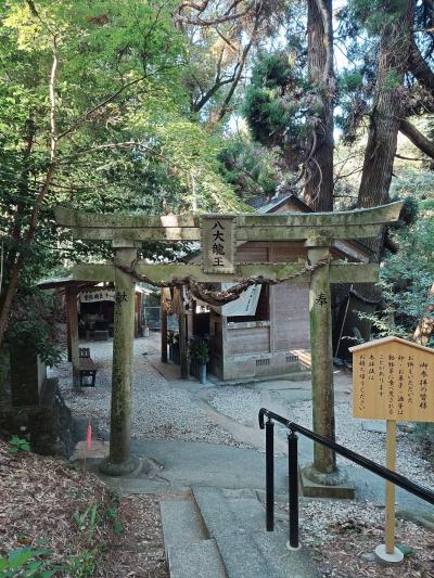 勇兎 (37) 福岡 萬天堂 / 出張性感マッサージ