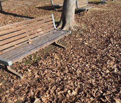 東城 (32) 秋田 萬天堂 / 出張性感マッサージ