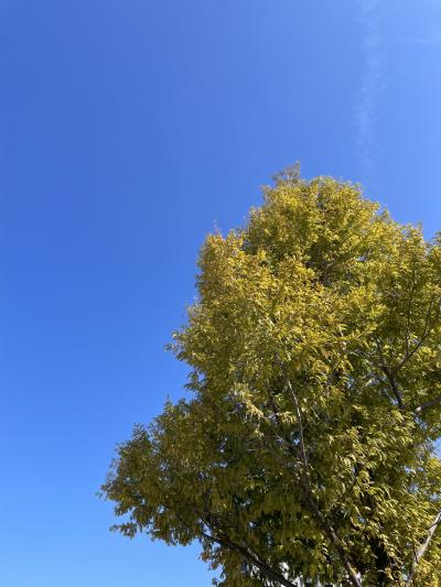 ハルト (40) 高松 萬天堂 / 出張性感マッサージ