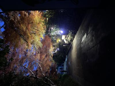 友 (29) 京都 萬天堂 / 出張性感マッサージ