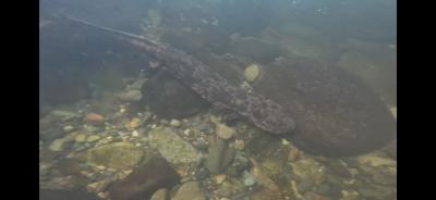 はるか (30) 名古屋 萬天堂 / 出張性感マッサージ