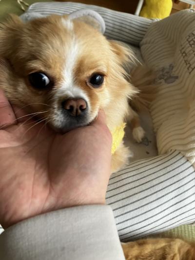 とも (32) 京都 萬天堂 / 出張性感マッサージ