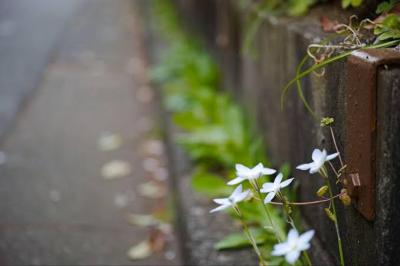 恭介 (48) 京都 萬天堂 / 出張性感マッサージ