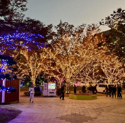 如月 (37) 福岡 萬天堂 / 出張性感マッサージ