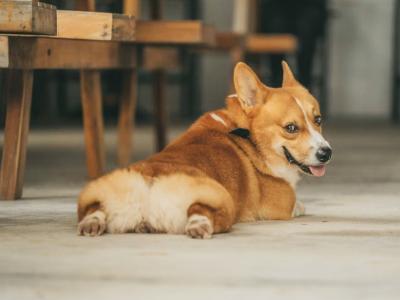 椎名 (52) 東京 萬天堂 / 出張性感マッサージ