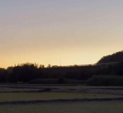 陸斗 (40) 名古屋 萬天堂 / 出張性感マッサージ