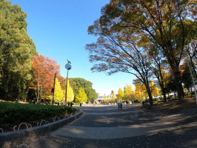 奈瀬 (28) 東京 萬天堂 / 出張性感マッサージ