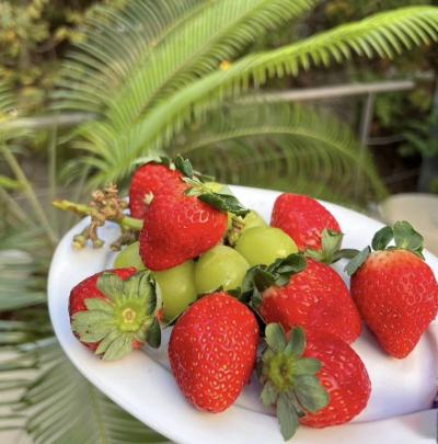 桓騎 (45) 名古屋 萬天堂 / 出張性感マッサージ