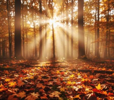 勇耀 (46) 岐阜 萬天堂 / 出張性感マッサージ