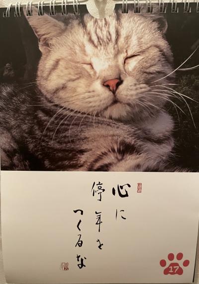 静 (60) 名古屋 萬天堂 / 出張性感マッサージ