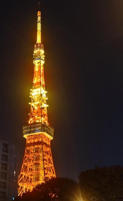 macoto (42) 柏 萬天堂 / 出張性感マッサージ