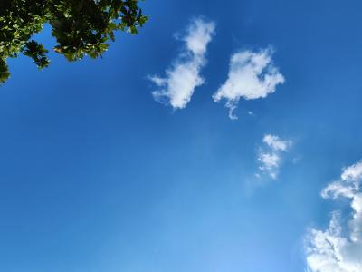 天気よすぎ To-ji (32) 沖縄県（出張性感マッサージ