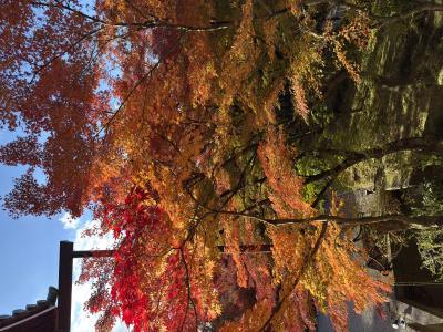 テオ (30) 大阪 萬天堂 / 出張性感マッサージ