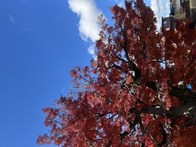 慶次 (46) 四日市 萬天堂 / 出張性感マッサージ