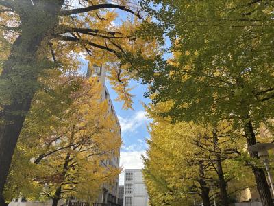 エイチ (44) 大宮 萬天堂 / 出張性感マッサージ