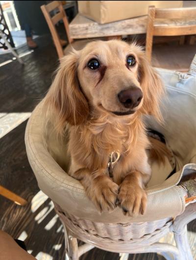 風羽 (34) 京都 萬天堂 / 出張性感マッサージ