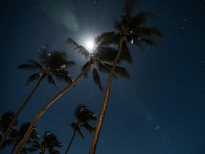 椎名 (52) 東京 萬天堂 / 出張性感マッサージ