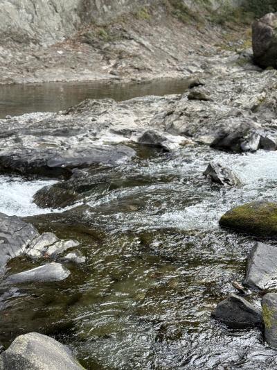 新田 (35) 大宮 萬天堂 / 出張性感マッサージ