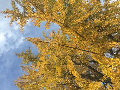 岳 (50) 松山 萬天堂 / 出張性感マッサージ