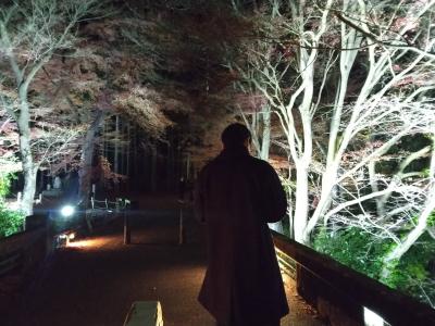 ヒイラギ (29) 名古屋 萬天堂 / 出張性感マッサージ