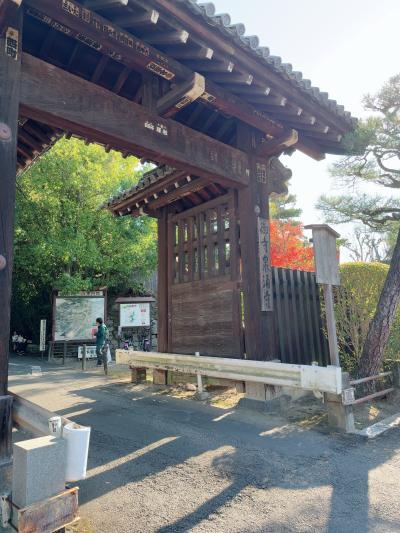 風羽 (34) 京都 萬天堂 / 出張性感マッサージ