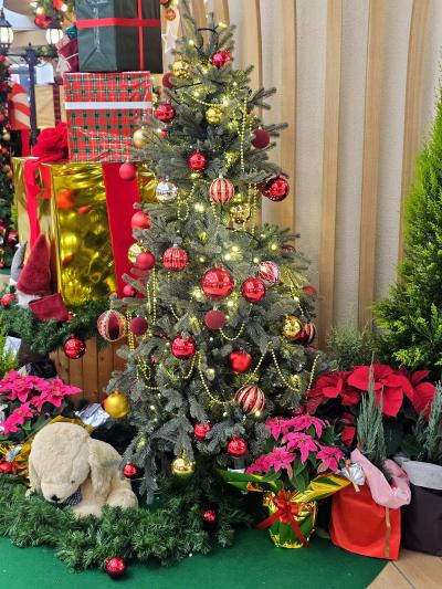 れんと (29) 大阪 萬天堂 / 出張性感マッサージ