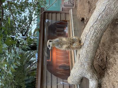 みあ (33) 岡山 萬天堂 / 出張性感マッサージ