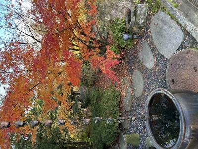 キョウヤ (23) 新潟 萬天堂 / 出張性感マッサージ