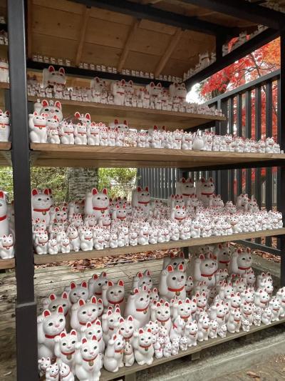 蔵人 (33) 東京 萬天堂 / 出張性感マッサージ