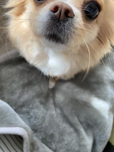 とも (32) 京都 萬天堂 / 出張性感マッサージ