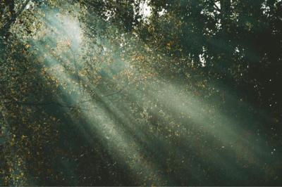 龍生 (47) 大宮 萬天堂 / 出張性感マッサージ