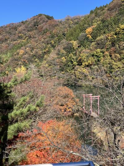 伊月 (43) 新潟 萬天堂 / 出張性感マッサージ