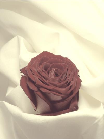 なおと (57) 東京 萬天堂 / 出張性感マッサージ