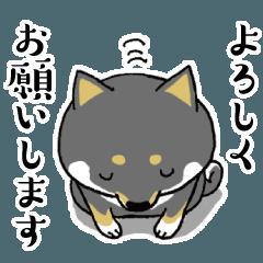 龍馬 (37) 東京 萬天堂 / 出張性感マッサージ