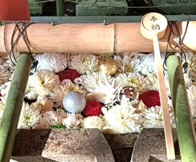 楽 (57) 京都 萬天堂 / 出張性感マッサージ