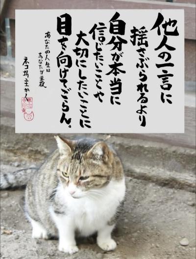 慶次 (46) 四日市 萬天堂 / 出張性感マッサージ