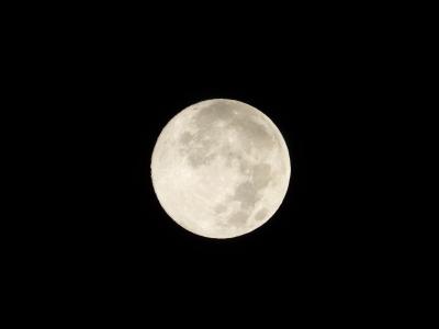 結月 (53) 宇都宮 萬天堂 / 出張性感マッサージ