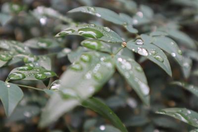 筧 (52) 大宮 萬天堂 / 出張性感マッサージ