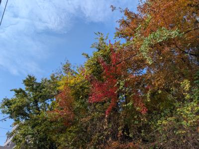 ゆうい (29) 熊本 萬天堂 / 出張性感マッサージ